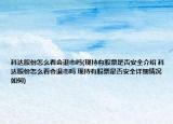 科达股份怎么看会退市吗(现持有股票是否安全介绍 科达股份怎么看会退市吗 现持有股票是否安全详细情况如何)