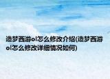 造梦西游ol怎么修改介绍(造梦西游ol怎么修改详细情况如何)