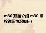 m30(螺栓介绍 m30 螺栓详细情况如何)