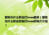 冒险岛什么职业打boss最快（冒险岛什么职业厉害打boss好简介介绍）