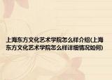 上海东方文化艺术学院怎么样介绍(上海东方文化艺术学院怎么样详细情况如何)