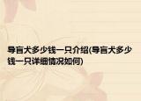 导盲犬多少钱一只介绍(导盲犬多少钱一只详细情况如何)