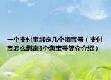 一个支付宝绑定几个淘宝号（支付宝怎么绑定5个淘宝号简介介绍）