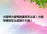 小提琴小提琴的英语怎么读（小提琴英语怎么读简介介绍）