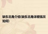 缺东北角介绍(缺东北角详细情况如何)