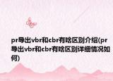 pr导出vbr和cbr有啥区别介绍(pr导出vbr和cbr有啥区别详细情况如何)