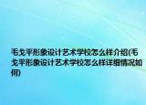 毛戈平形象设计艺术学校怎么样介绍(毛戈平形象设计艺术学校怎么样详细情况如何)