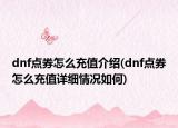 dnf点券怎么充值介绍(dnf点券怎么充值详细情况如何)