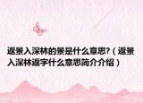 返景入深林的景是什么意思?（返景入深林返字什么意思简介介绍）