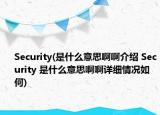 Security(是什么意思啊啊介绍 Security 是什么意思啊啊详细情况如何)