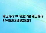 黛玉葬花100简述介绍 黛玉葬花100简述详细情况如何