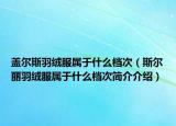 盖尔斯羽绒服属于什么档次（斯尔丽羽绒服属于什么档次简介介绍）