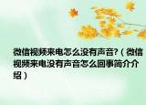 微信视频来电怎么没有声音?（微信视频来电没有声音怎么回事简介介绍）