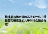 穆桂英与杨宗保的儿子叫什么（穆桂英和杨宗保的儿子叫什么简介介绍）