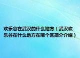 欢乐谷在武汉的什么地方（武汉欢乐谷在什么地方在哪个区简介介绍）