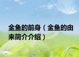 金鱼的前身（金鱼的由来简介介绍）