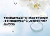 香蕉赛跑毒刺炸车疯狂的小鸟滚鸡蛋谁知道介绍(香蕉赛跑毒刺炸车疯狂的小鸟滚鸡蛋谁知道详细情况如何)