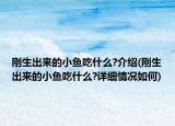 刚生出来的小鱼吃什么?介绍(刚生出来的小鱼吃什么?详细情况如何)