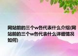 网站前的三个w各代表什么介绍(网站前的三个w各代表什么详细情况如何)