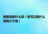 进组词组什么词（进可以组什么词简介介绍）