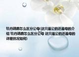 牡丹鹦鹉怎么区分公母(这只是公的还是母的介绍 牡丹鹦鹉怎么区分公母 这只是公的还是母的详细情况如何)