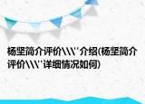 杨坚简介评价\