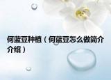 何蓝豆种植（何蓝豆怎么做简介介绍）