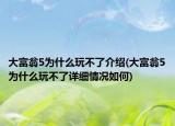 大富翁5为什么玩不了介绍(大富翁5为什么玩不了详细情况如何)