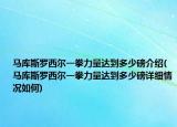 马库斯罗西尔一拳力量达到多少磅介绍(马库斯罗西尔一拳力量达到多少磅详细情况如何)