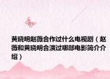 黄晓明赵薇合作过什么电视剧（赵薇和黄晓明合演过哪部电影简介介绍）
