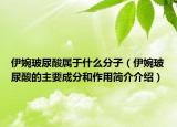 伊婉玻尿酸属于什么分子（伊婉玻尿酸的主要成分和作用简介介绍）