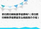 农行跨行转账要手续费吗?（农行跨行转账手续费是怎么收的简介介绍）
