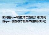 如何给ipad设置动态壁纸介绍(如何给ipad设置动态壁纸详细情况如何)