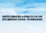 合肥杏花公园现在有什么好玩的({急}介绍 合肥杏花公园现在有什么好玩的  {急}详细情况如何)