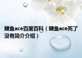 鲤鱼ace百度百科（鲤鱼ace死了没有简介介绍）