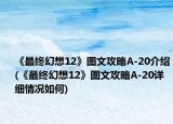 《最终幻想12》图文攻略A-20介绍(《最终幻想12》图文攻略A-20详细情况如何)
