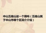 中山五桂山是一个镇吗（五桂山属于中山市哪个区简介介绍）