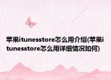 苹果itunesstore怎么用介绍(苹果itunesstore怎么用详细情况如何)