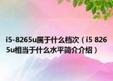 i5-8265u属于什么档次（i5 8265u相当于什么水平简介介绍）