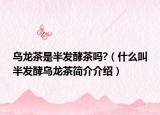 乌龙茶是半发酵茶吗?（什么叫半发酵乌龙茶简介介绍）