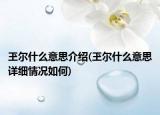 玊尔什么意思介绍(玊尔什么意思详细情况如何)