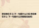 把你捧在手上(下一句是什么介绍 把你捧在手上 下一句是什么详细情况如何)