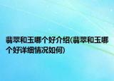 翡翠和玉哪个好介绍(翡翠和玉哪个好详细情况如何)