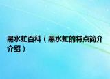 黑水虻百科（黑水虻的特点简介介绍）