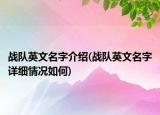 战队英文名字介绍(战队英文名字详细情况如何)