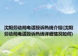 沈阳劳动局电话投诉热线介绍(沈阳劳动局电话投诉热线详细情况如何)