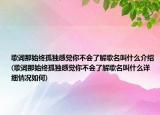 歌词那始终孤独感觉你不会了解歌名叫什么介绍(歌词那始终孤独感觉你不会了解歌名叫什么详细情况如何)