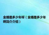 金婚是多少年呀（金婚是多少年啊简介介绍）