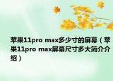 苹果11pro max多少寸的屏幕（苹果11pro max屏幕尺寸多大简介介绍）