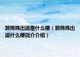 郭炜炜出道是什么梗（郭炜炜出道什么梗简介介绍）